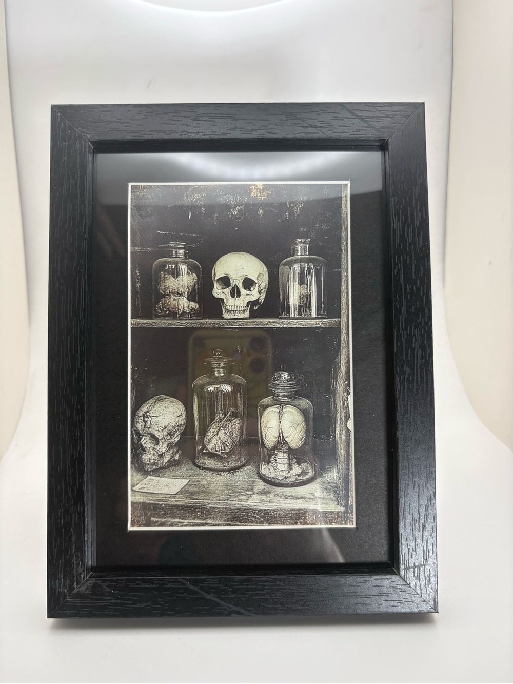Victorian Curiosity Cabinet Art Print – Framed 5x7 Gothic Anatomy Decor